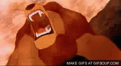 Close Up Of Lion With Mouth Open GIF