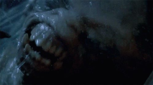 Close Up Of Man's Face GIF