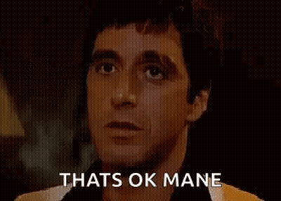 Close Up Of Man's Face Thats Ok Mane GIF