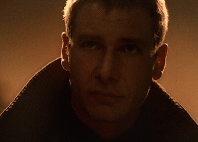Close Up Of Man's Face With Collar GIF