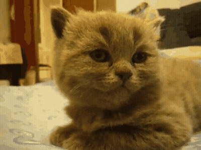 Close Up Of Man's Face With Sinners Movie Hashtag GIF