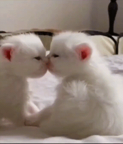 Close Up Of Man Saying No GIF