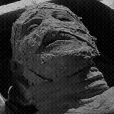 Close Up Of Mummy's Bandaged Face GIF