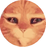 Close Up Of Orange Cat Face Sticker