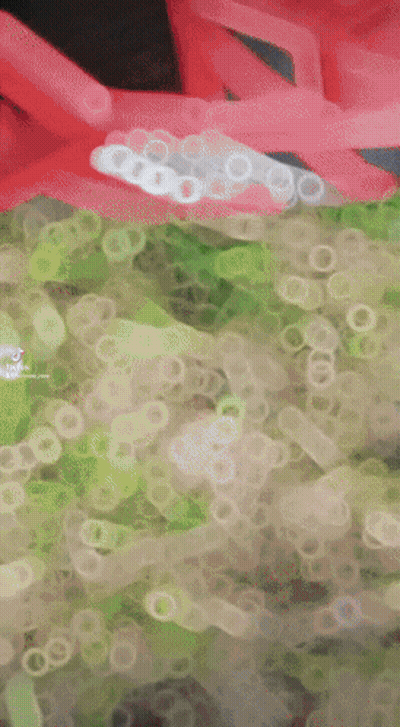 Close Up Of Painting With TikTok Logo GIF