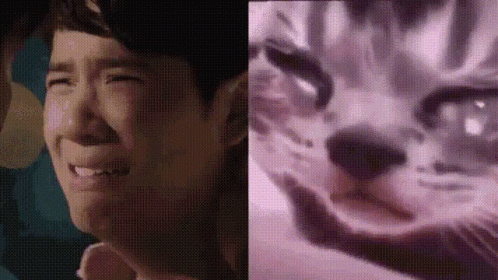 Close Up Of Person Crying Next To Cat GIF
