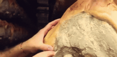Close Up Of Person Holding Bread GIF