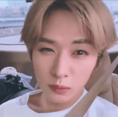 Close Up Of Person In Car With Seat Belt GIF