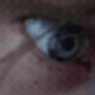 Close Up Of Person's Blue Eye GIF