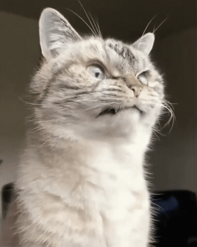 Close Up Of Person's Face GIF