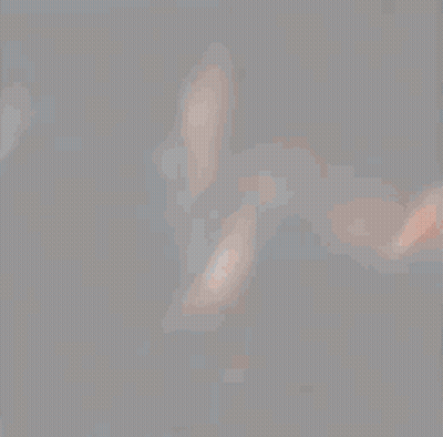 Close Up Of Person's Face And Neck GIF