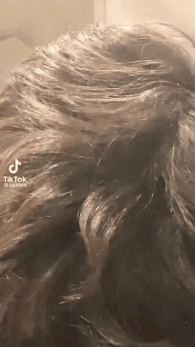 Close Up Of Person's Hair With TikTok Logo GIF