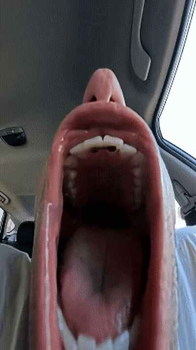 Close Up Of Person's Mouth In Car GIF