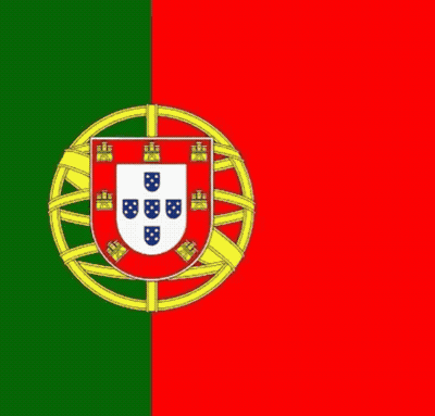 Close Up Of Person With Portuguese Flag GIF