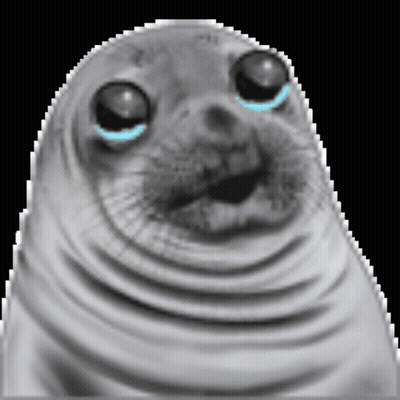 Close Up Of Seal Face With Tears GIF