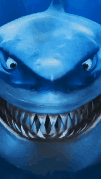 Close Up Of Shark Mouth And Teeth GIF