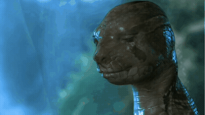 Close Up Of Snake Head With Eyes Closed GIF