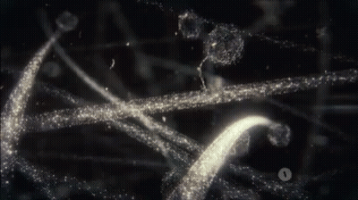 Close Up Of Sparkly Cell GIF
