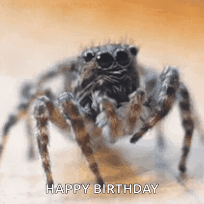 Close Up Of Spider Saying Happy Birthday GIF