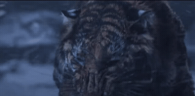 Close Up Of Tiger Face With Smoke GIF