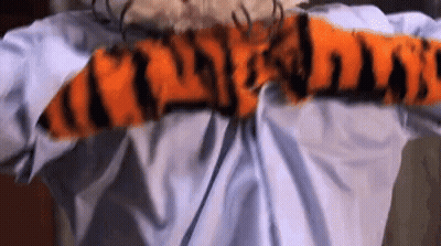 Close Up Of Tiger Striped Shirt On Bed GIF