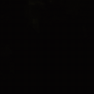 Close Up Of Tree With Leaves And Branches GIF