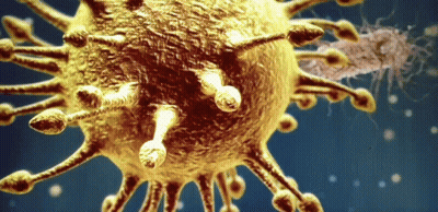 Close Up Of Virus With Blue Background GIF