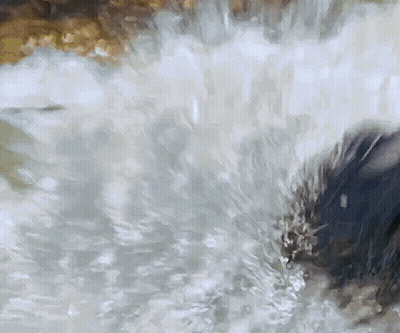 Close Up Of Waterfall With Water Flowing Down GIF