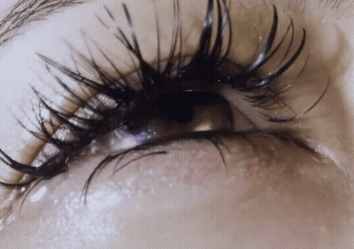 Close Up Of Woman's Eye With Long Black Lashes GIF