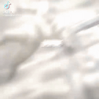 Close Up Person's Face With TikTok Logo