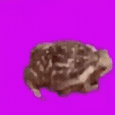 Close Up Piece Of Meat On Green Background GIF