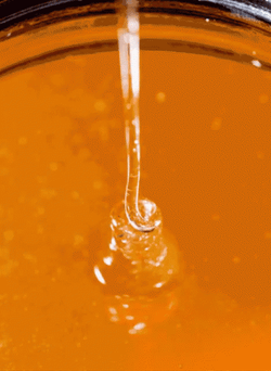 Close Up Pouring Honey GIF