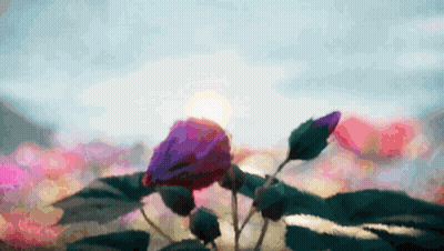 Close-Up Purple Flower GIF