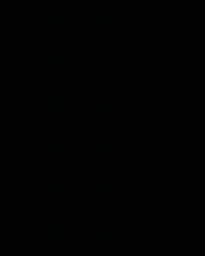 Close Up Seal Face With Tongue Out GIF
