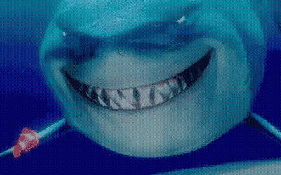 Close-Up Shark Face With Clown Fish GIF