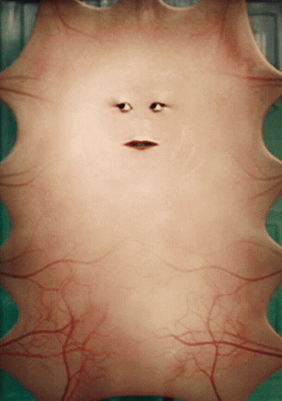 Close Up Skin Resembling Face GIF