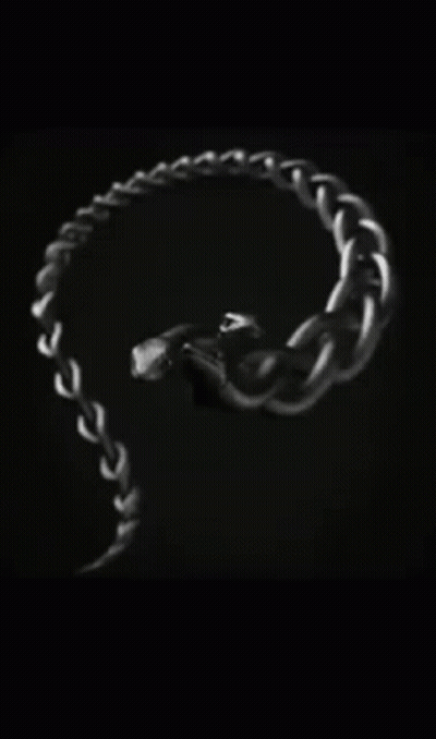 Close Up Snake With Film Snake Logo GIF