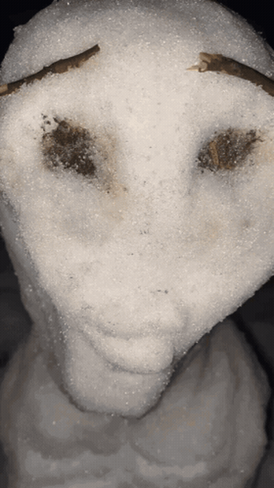 Close Up Snowman Face With Snow GIF