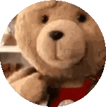 Close Up Teddy Bear In Circle Sticker