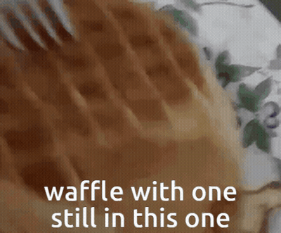 Close Up Waffle With Text GIF