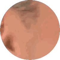Close Up Woman's Eye In Circle Sticker