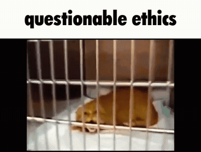 Close Up Woman Saying All Of It GIF