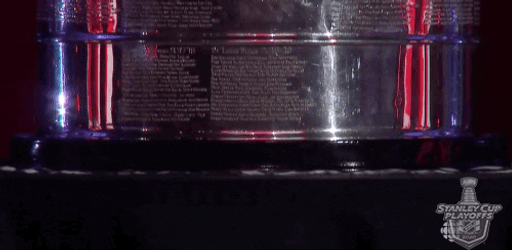 Closer Look Of Stanley Cup NHL GIF