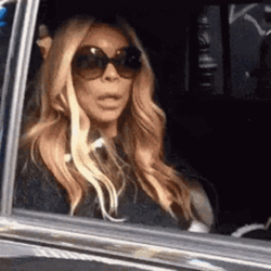 Closing Car Window Paparazzi Wendy Williams GIF