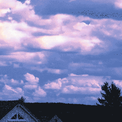Cloudy Time-lapse Aesthetic Pfp
