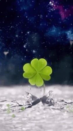 Clover Leaf On Icy Space GIF