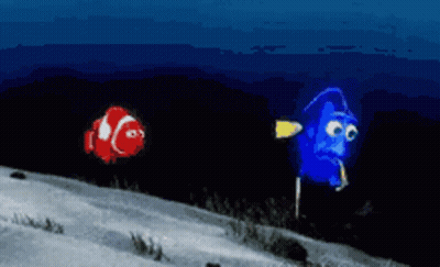 Clown Fish And Blue Fish GIF