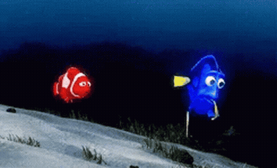 Clown Fish And Blue Fish Swimming GIF