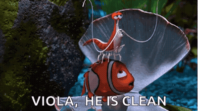 Clown Fish And Shrimp With Viola He Is Clean GIF