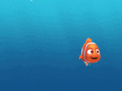 Clown Fish Swimming Alone In Ocean GIF